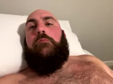 bearded_dragon21