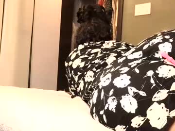 malikastar27