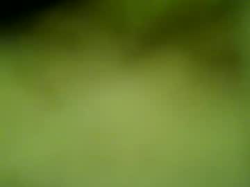 darrenrider