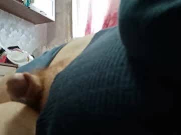 kotik73