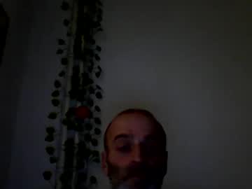 vanko781