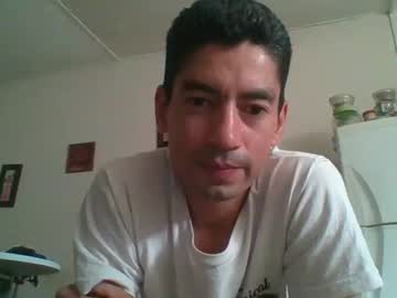 davips