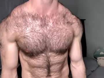 ryanhairystud