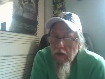 tomaselgato1