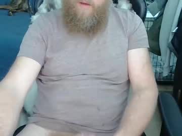 bearedbear