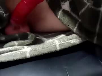 litlpenis16