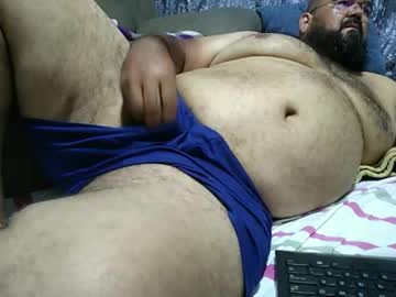 urso266