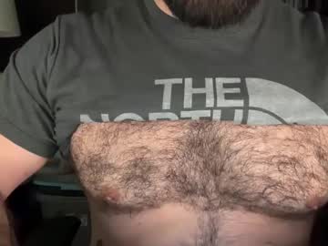 bear93gr