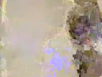 perrayperrosucios