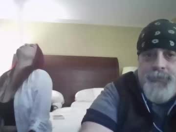 sallystarr_bulldog