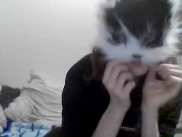 misssoftpaws