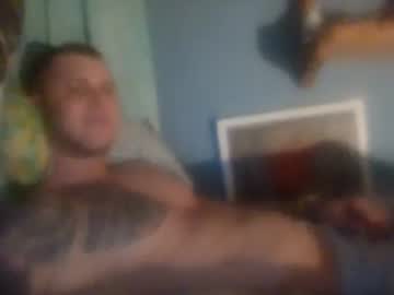 phenomys