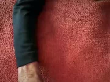 fellixxcatt