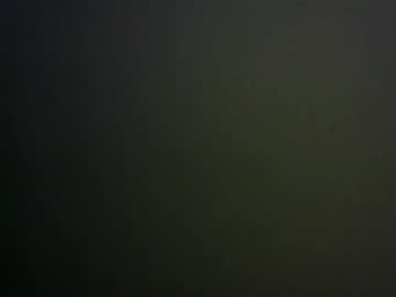 _evander98_