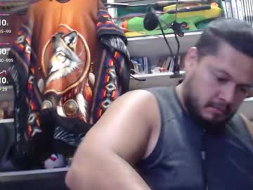 alfaalgo
