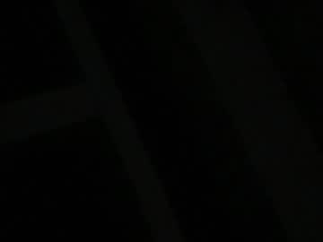meminpeneguin