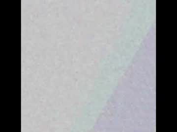 zoecams
