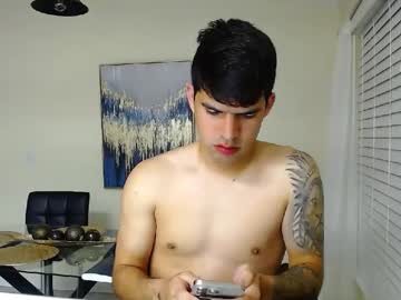 Profile of lancebrek