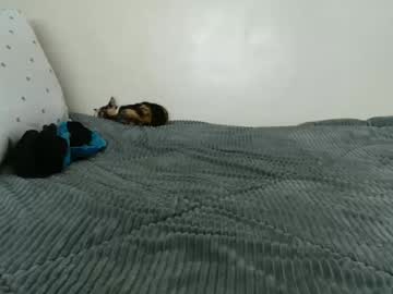 Profile of lil_duuck