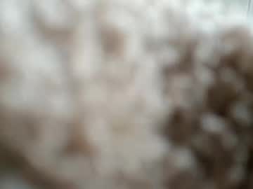 Profile of kcbro24