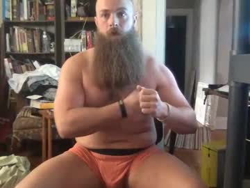 Profile of vikingfuzz
