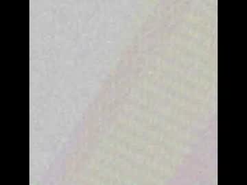 tooootsxss