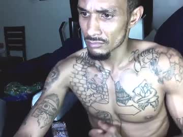diccmyester700