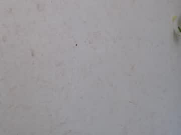 Profile of mollyforyou
