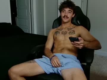 aries_pov