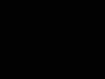 Profile of bettylav