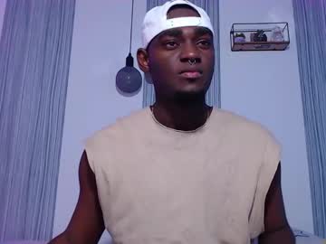 _black_stallion