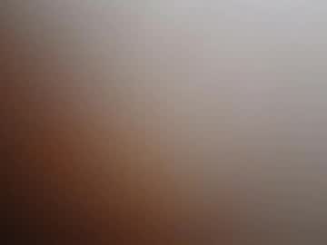 Profile of step_81