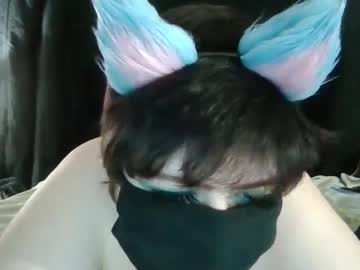 Profile of kittykemi