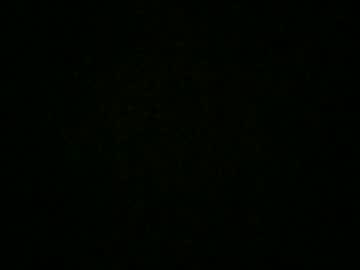 Profile of nicolino1020