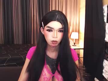 Profile of amazinghorsecocktrans