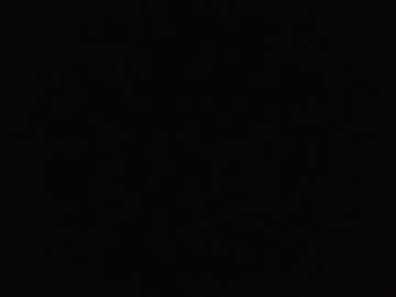 Profile of stidoes_