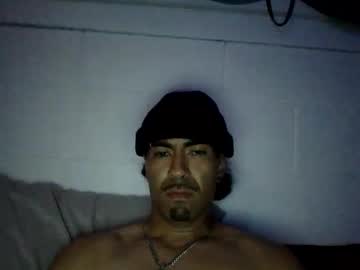 bolo45491