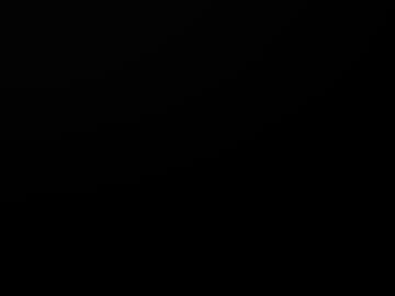 Profile of elysemaldonaldo