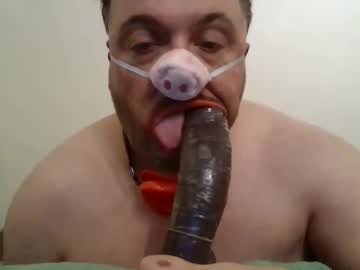 Profile of fatgaypigslave