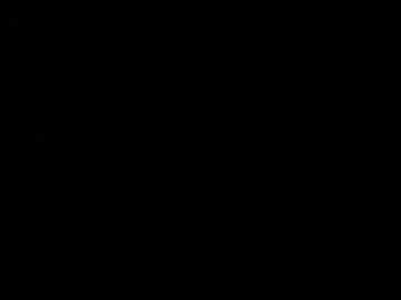 Profile of stef___1
