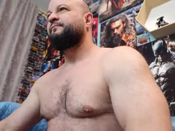 muscular_bear