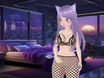 comitas_gatita