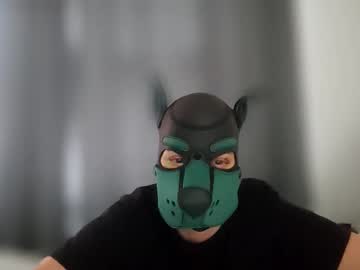 Profile of pup_kori