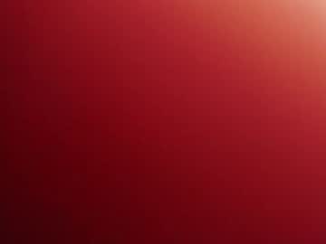Profile of spicy_wett