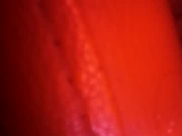 Profile of longone3400