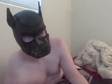 puptav