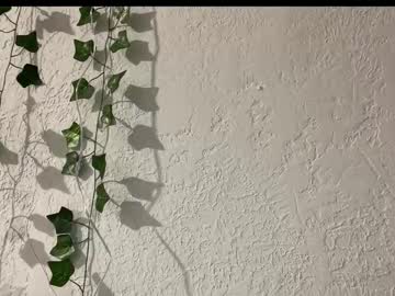 Profile of ivymellow