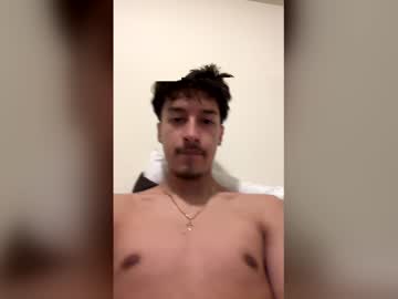 Profile of latinopapasitoo