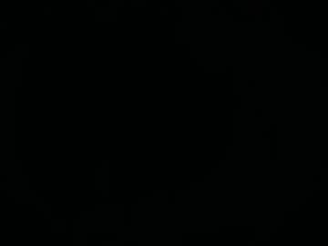 Profile of feni404503