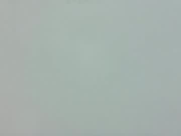 Profile of allis_laan
